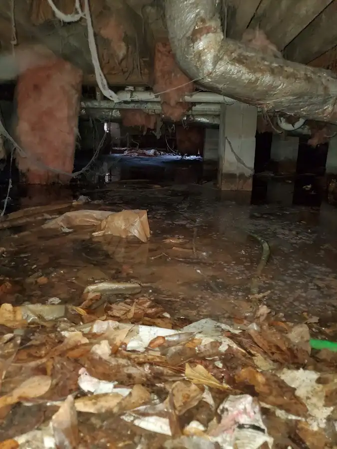 Crawl space flood assessment for Leak Detection & Repair in Lewiston